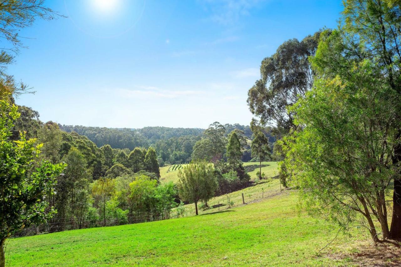 Braeside Cabin Two Alphitonia Central Tilba Exterior photo